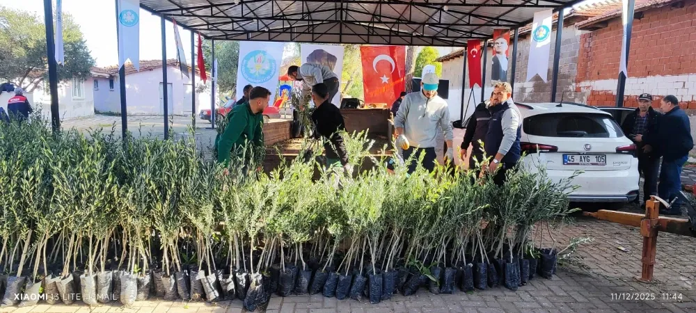 Büyükşehirden Akhisarlı üreticiye 29 bin fidan desteği