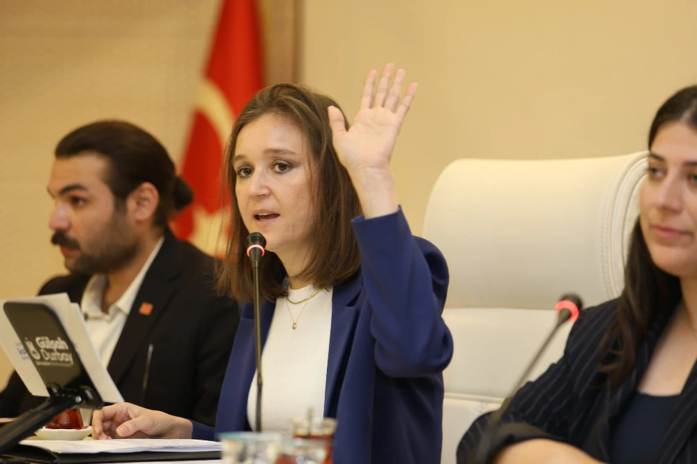 Şehzadeler Meclisi