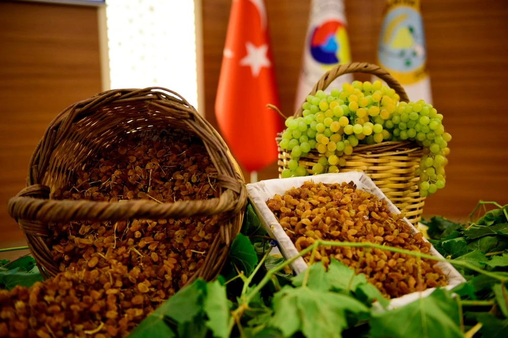 Manisa Tarımı 2025’te İhracatta Rekor Seviyelere Ulaştı